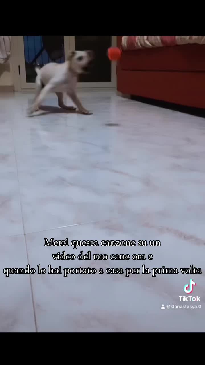 @Theytrytobeart