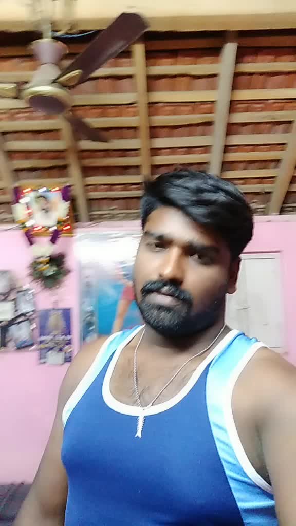 @Chandru Cat