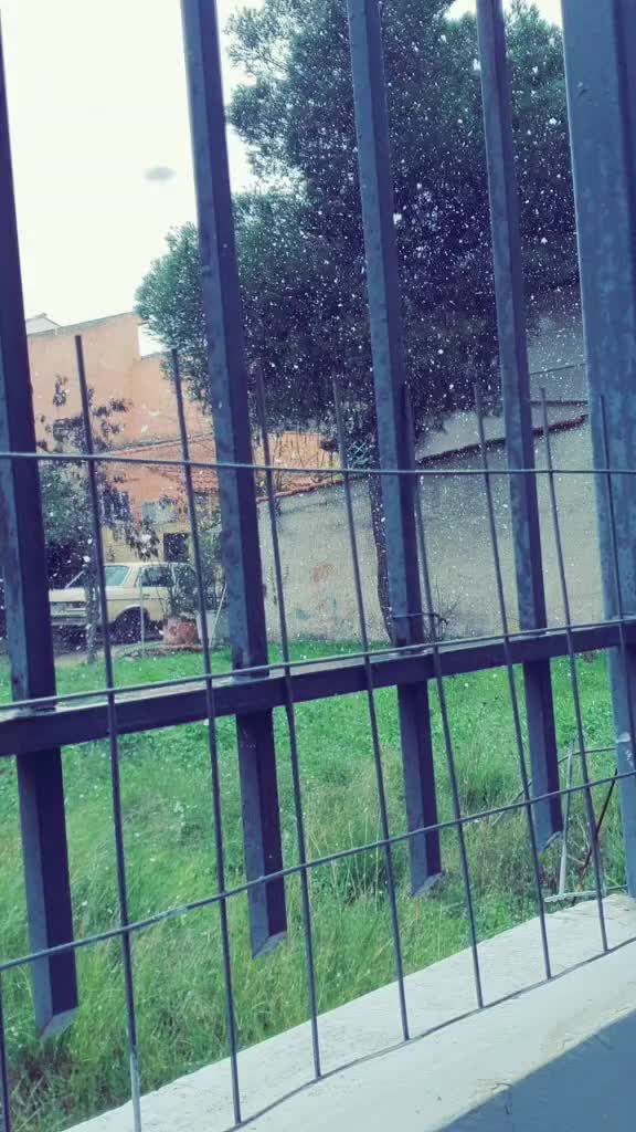 @koja mano