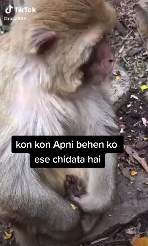 @vishnu thakur
