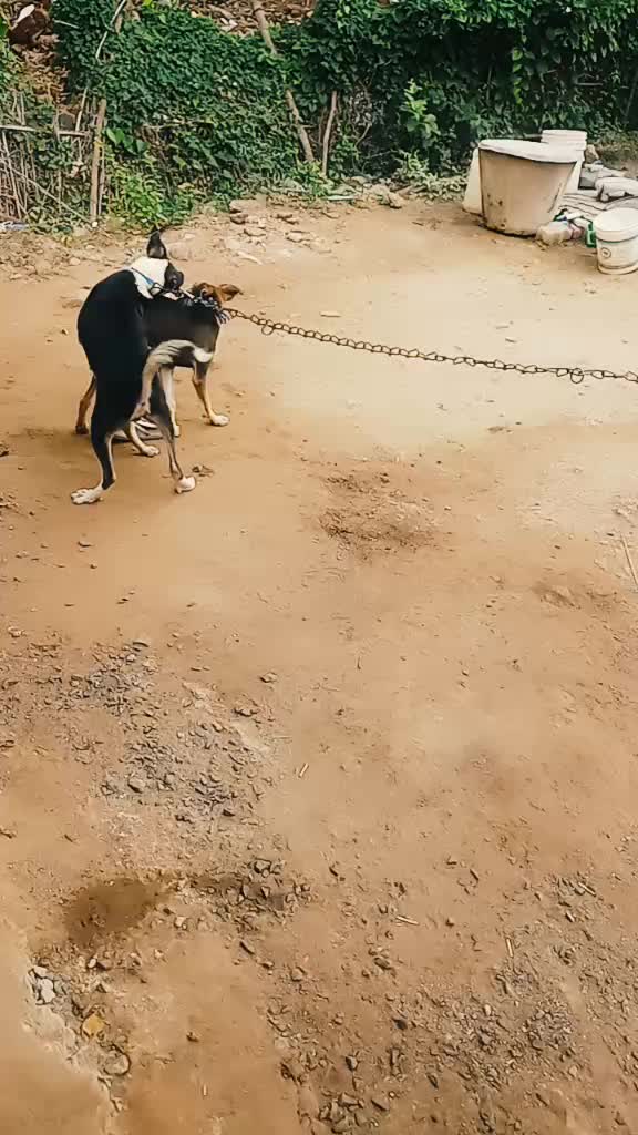 @tharun naidu