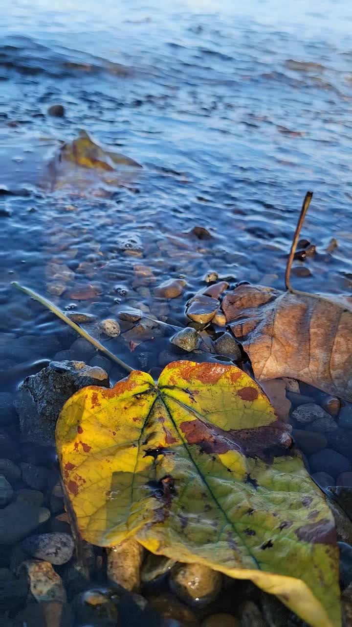 @Nature Visual