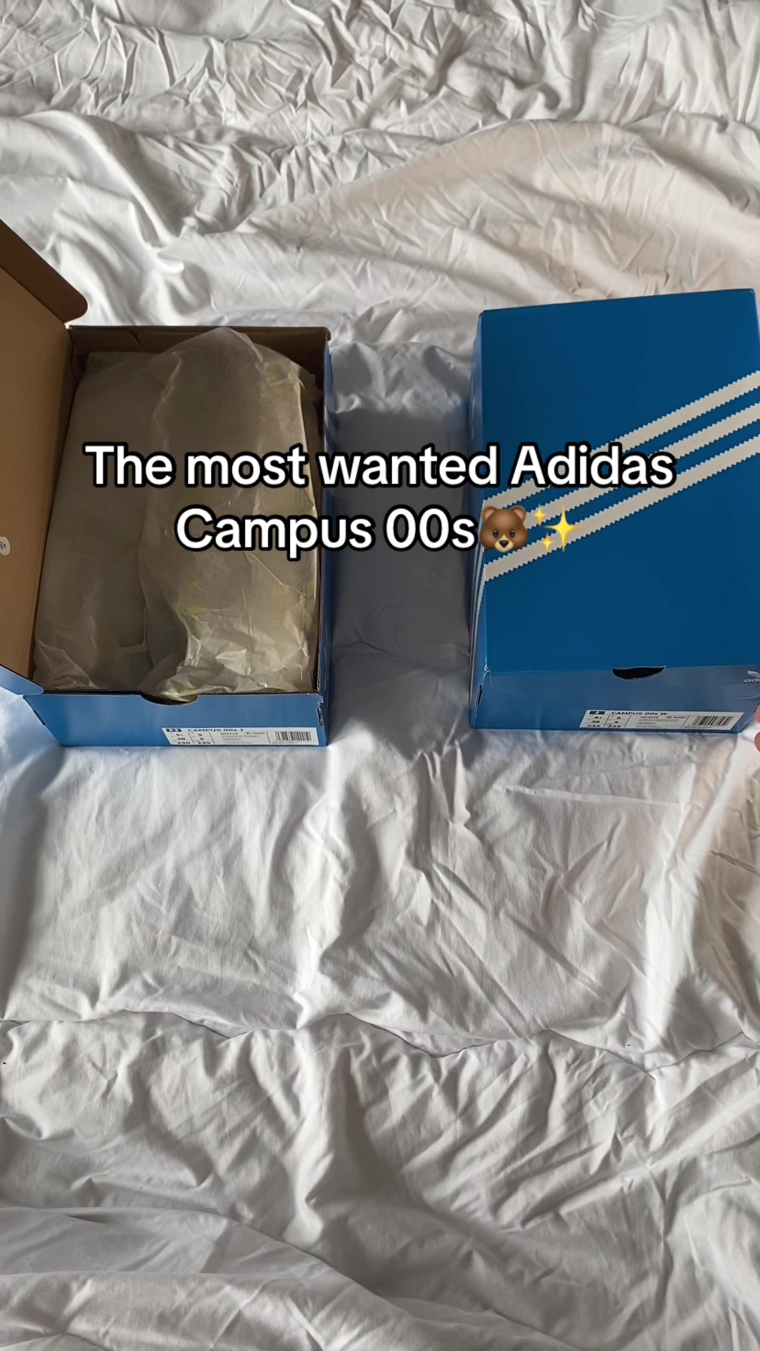 @dexnpep