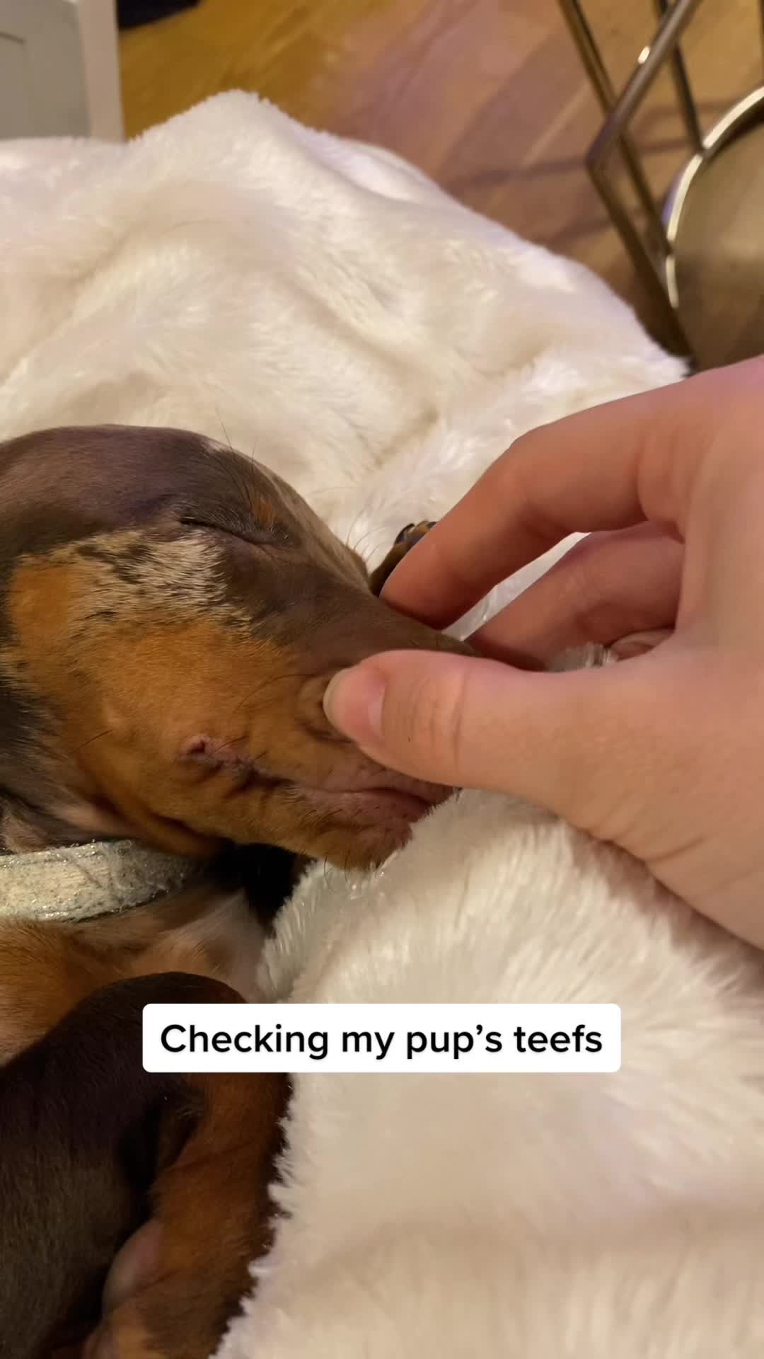 @billieandblu
