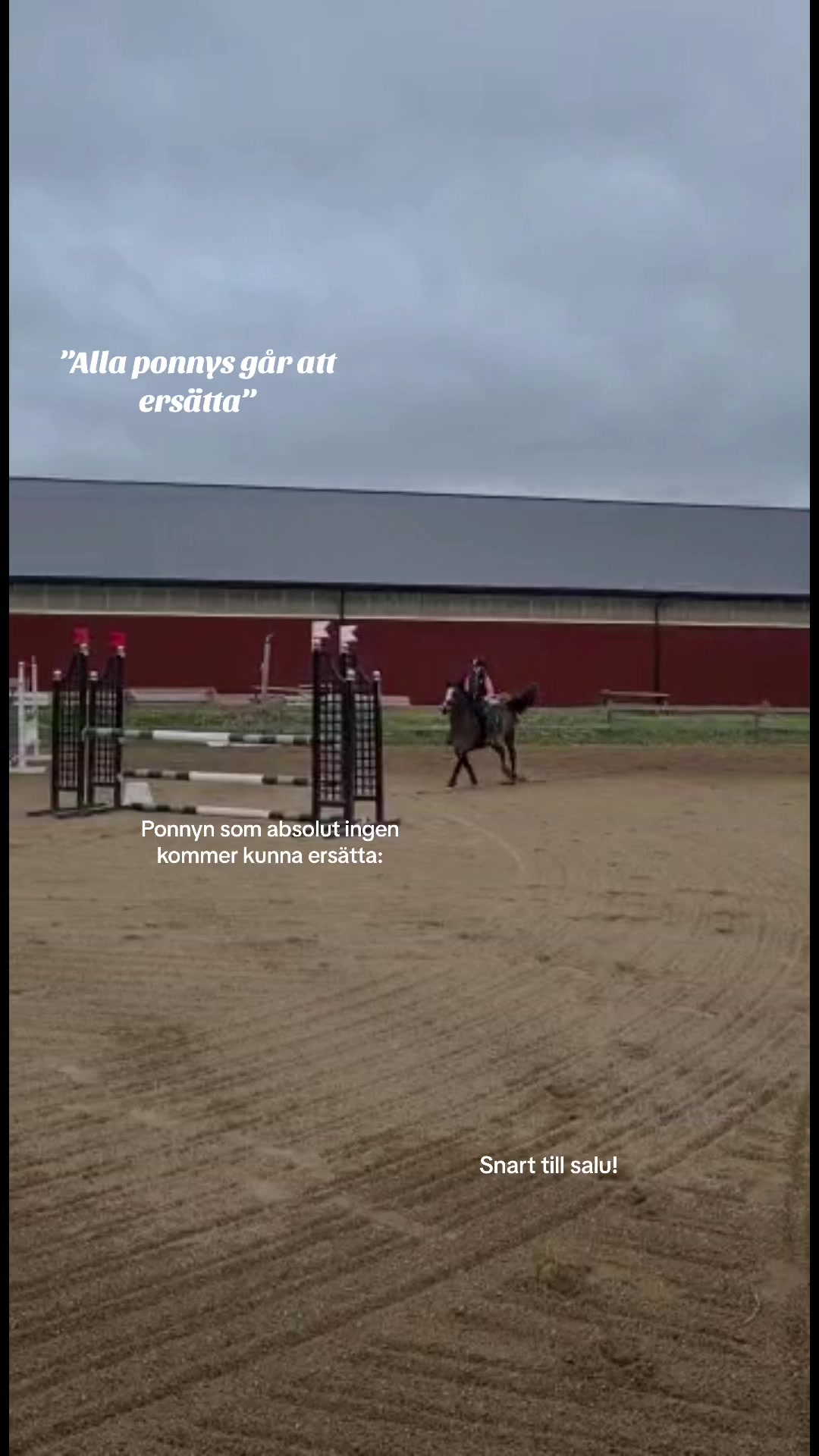 @Felicia Fagerberg