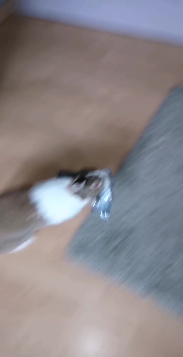 @Mylanissa
