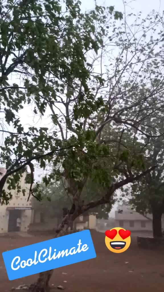 @BASHA BUJJI