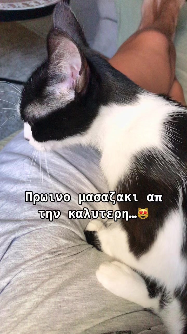 @Ματινα Σκεπεταρη