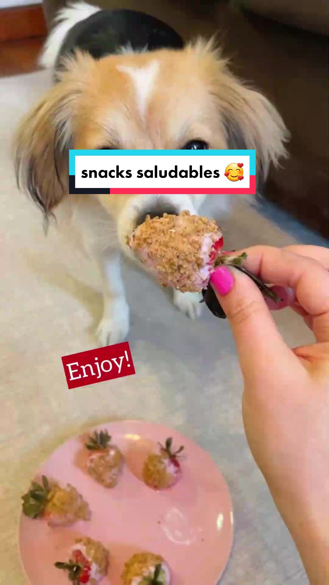 @delimascotas
