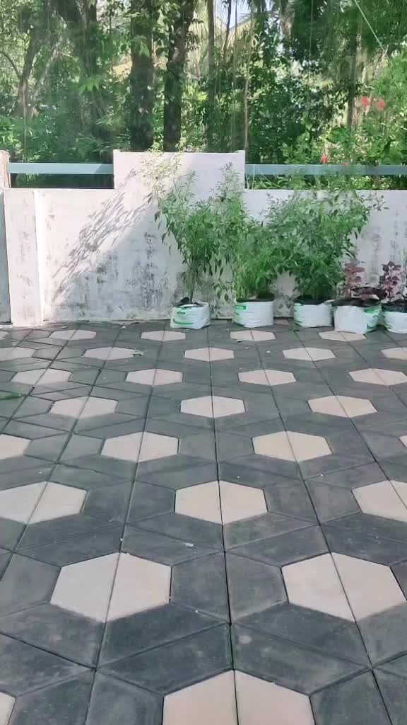 @san_kee_rth_ana