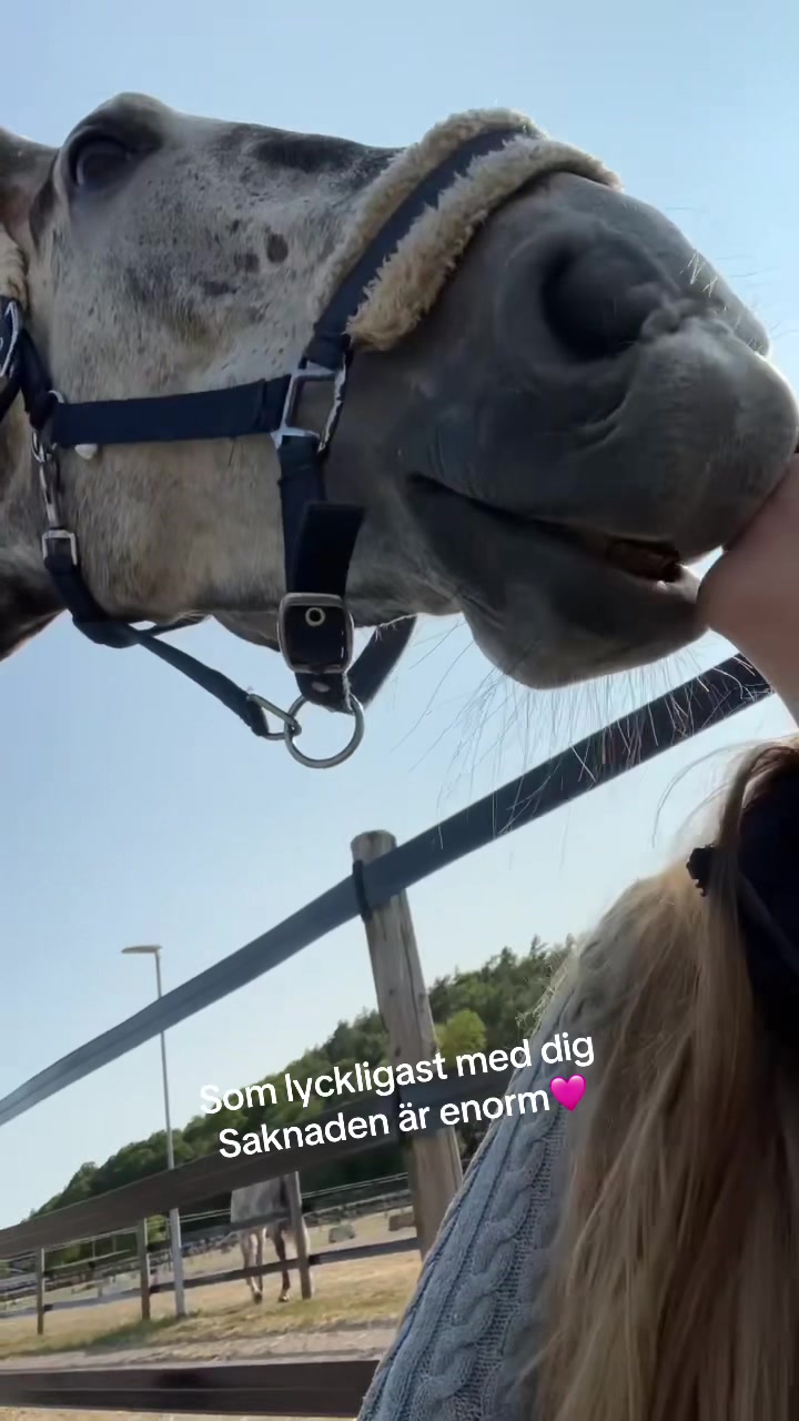 @Julia