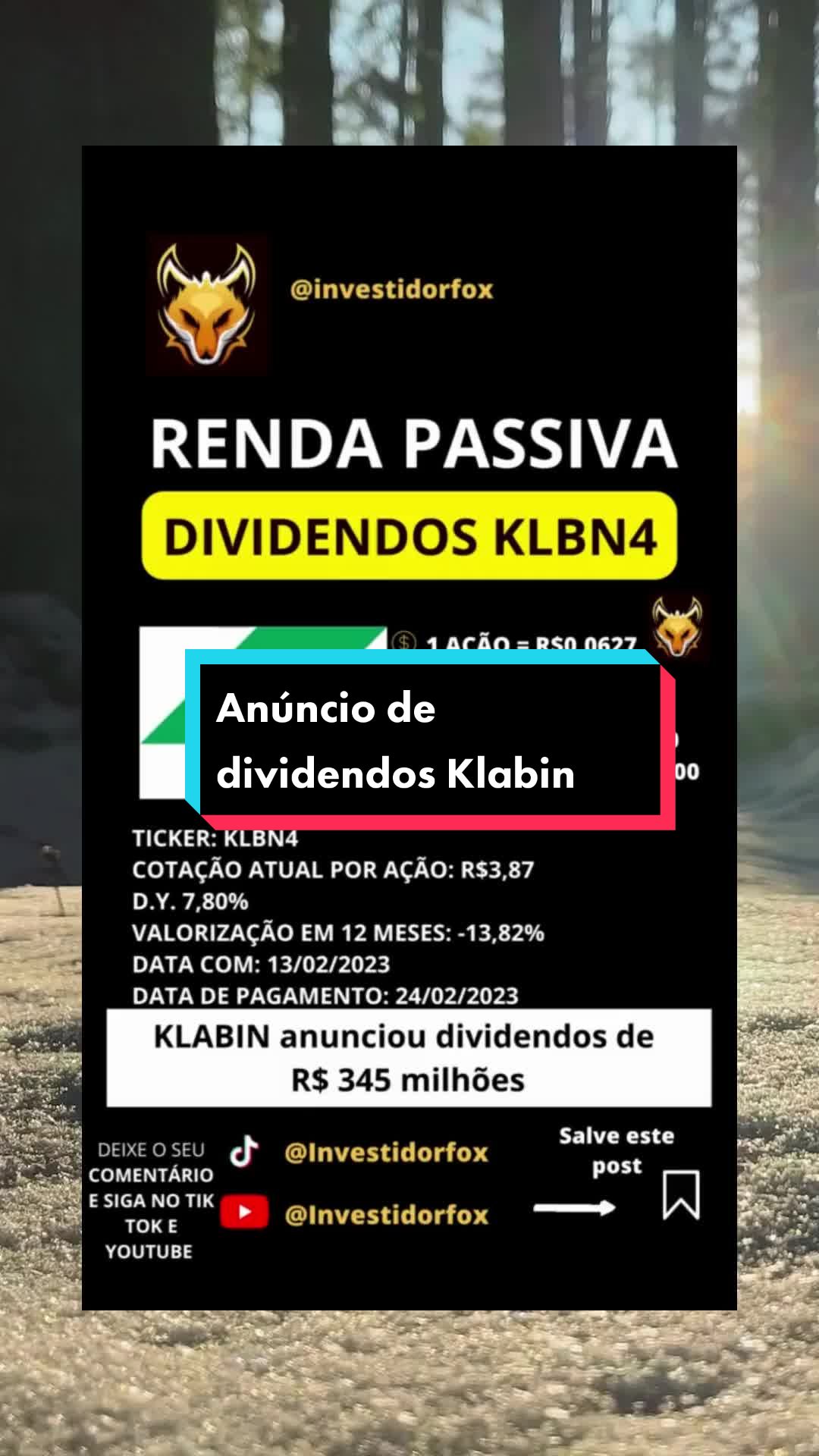 @InvestidorFox