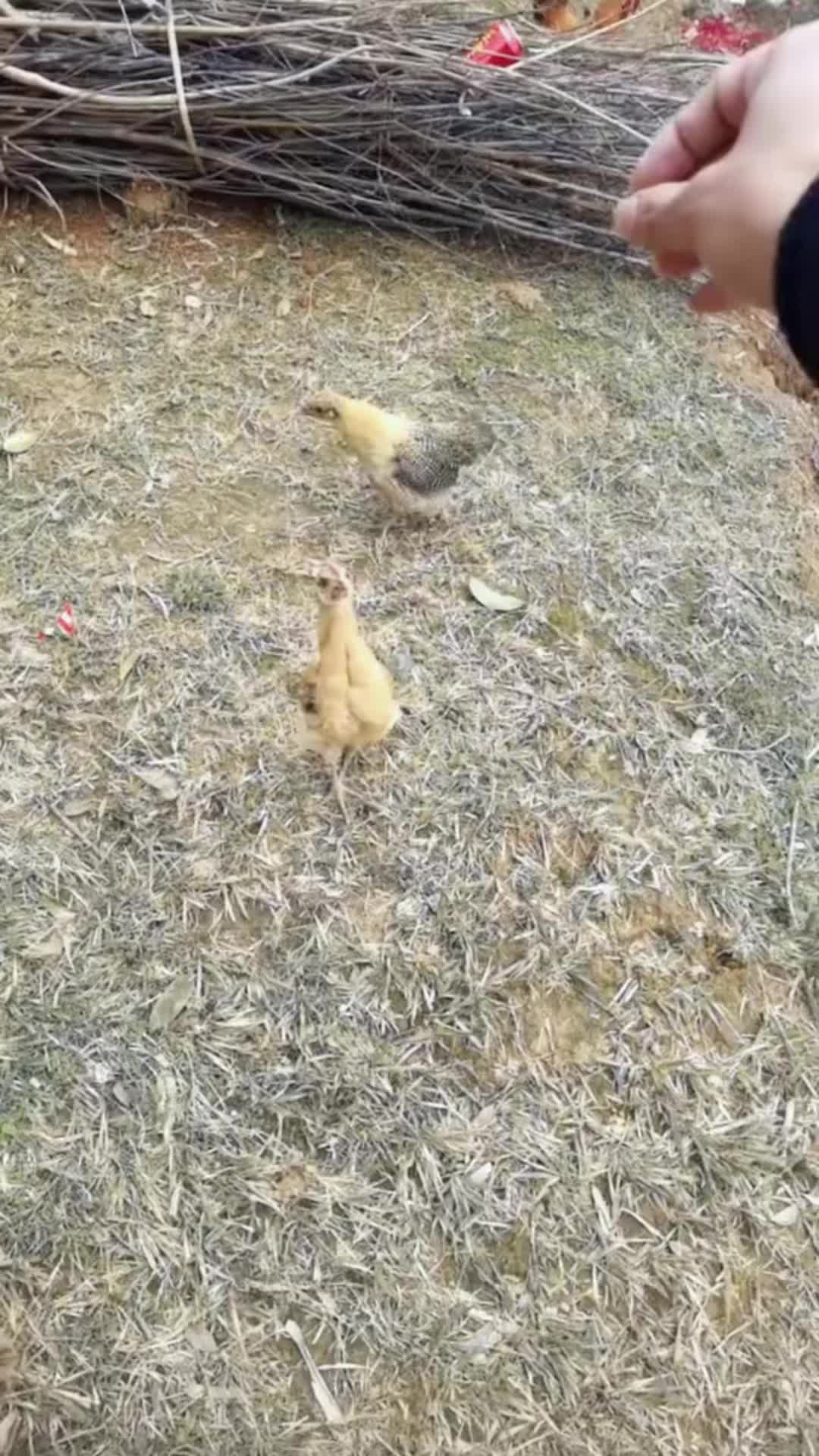 @rural.life97