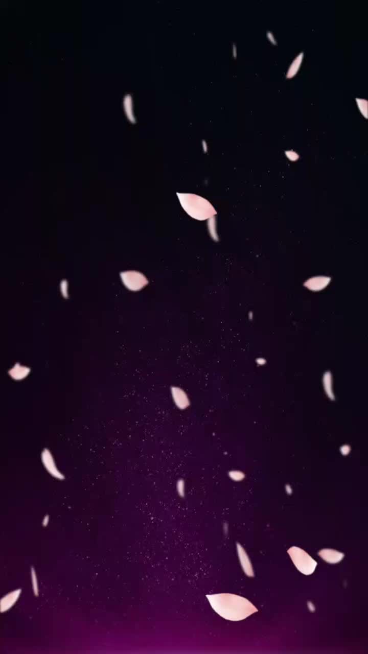 @Nksonwani