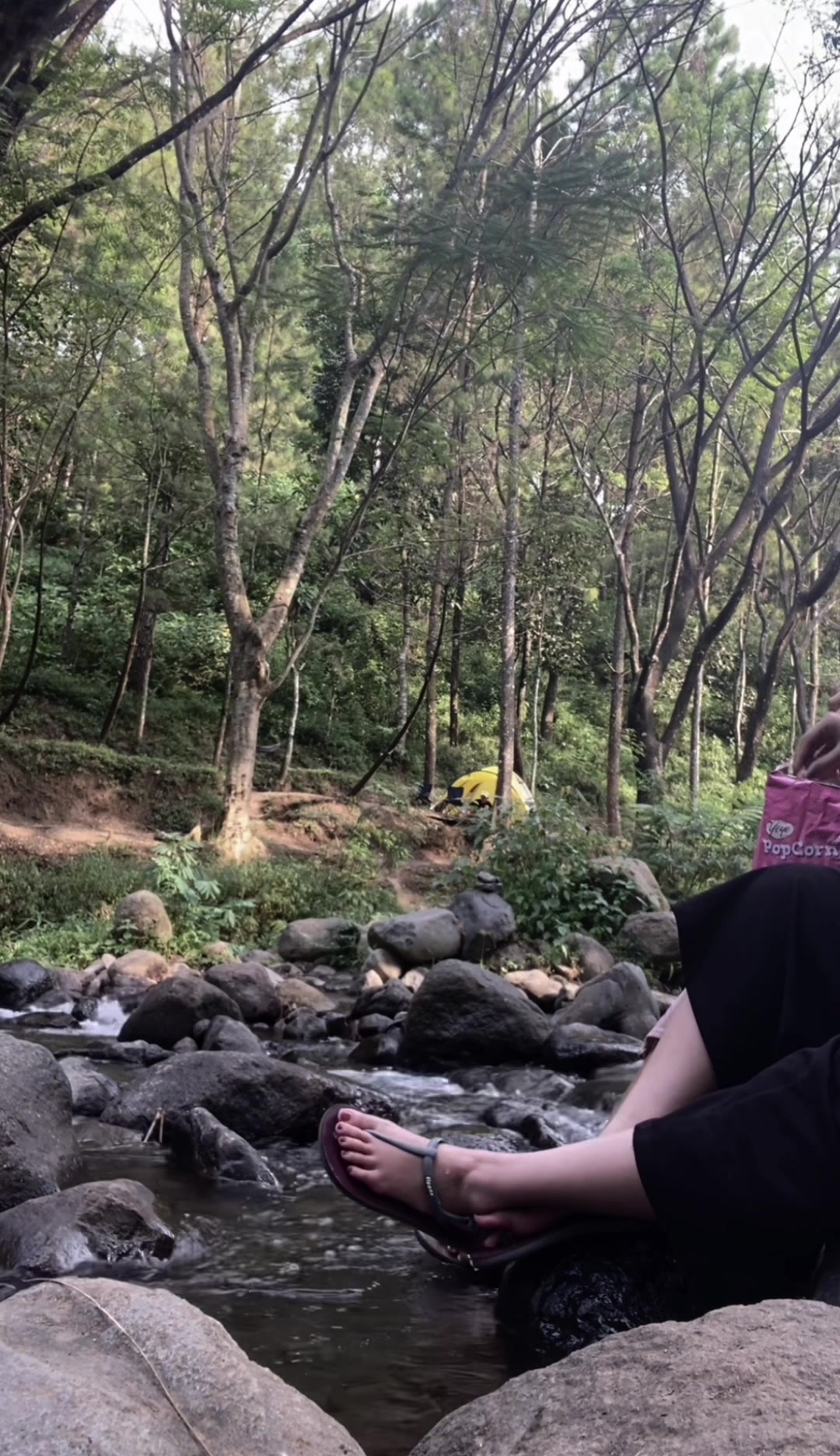 @dinii
