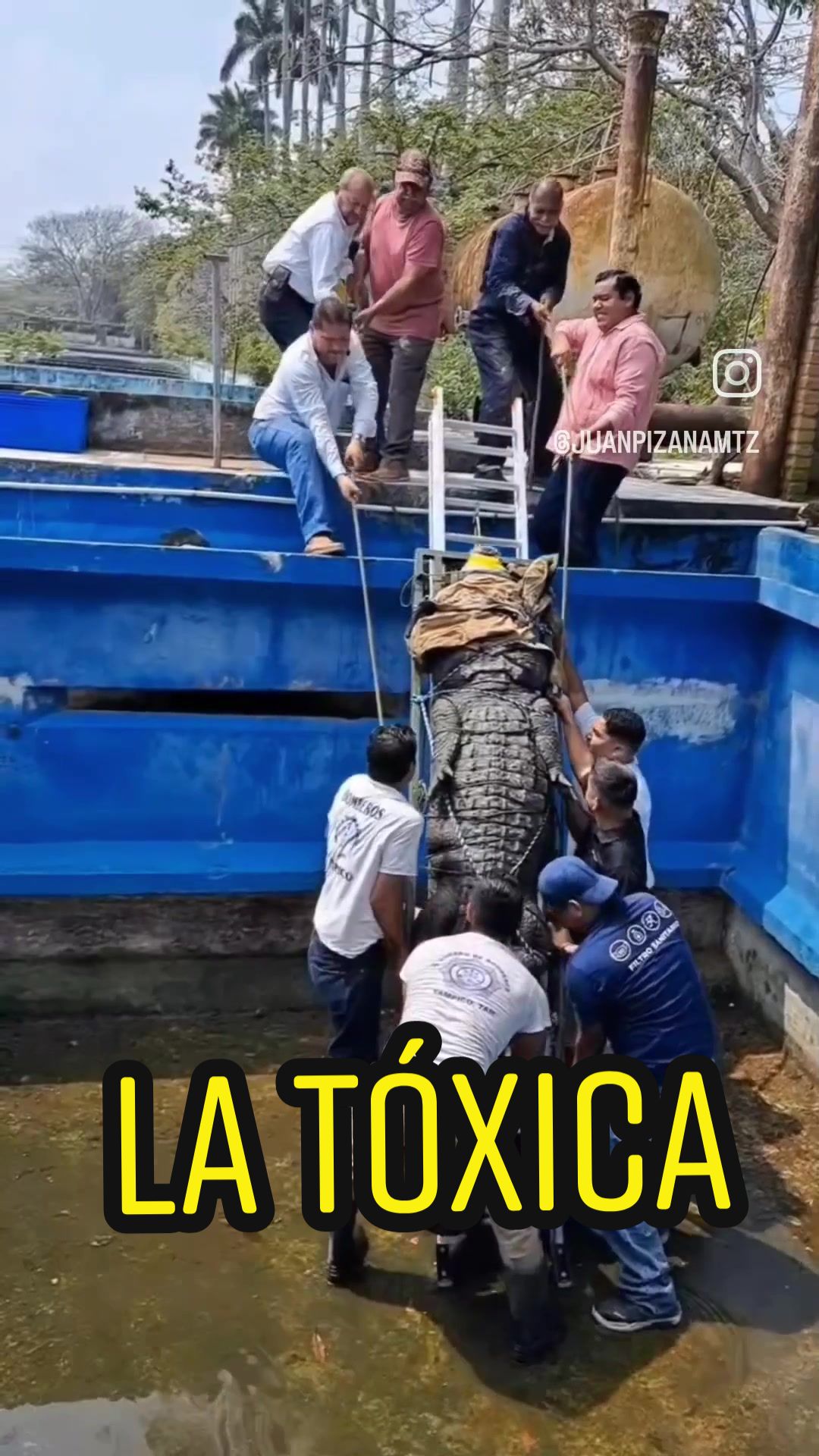 @Juan Pizaña Mtz