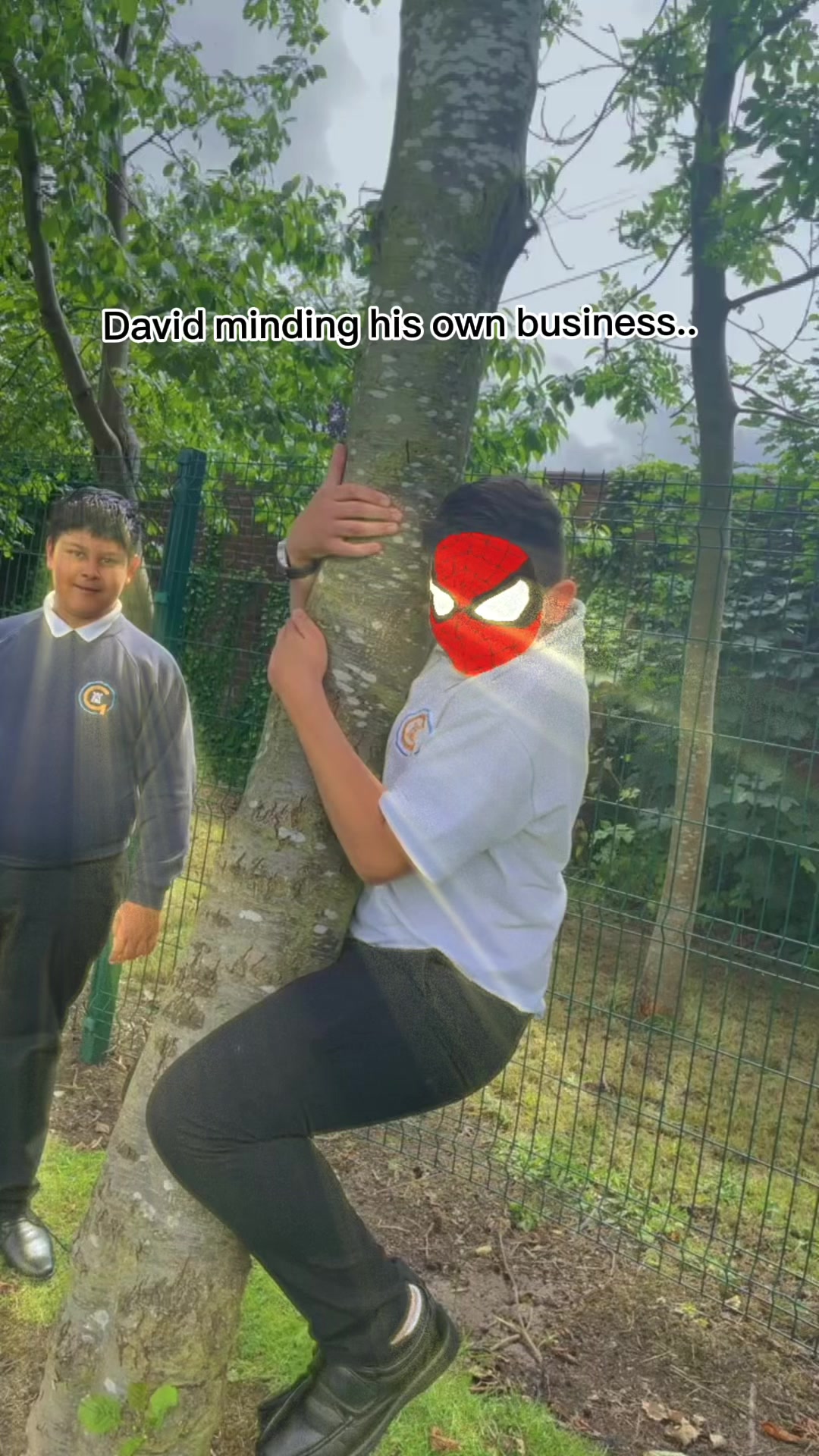 @amel