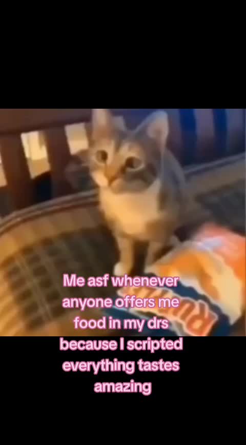 @Kitty <3