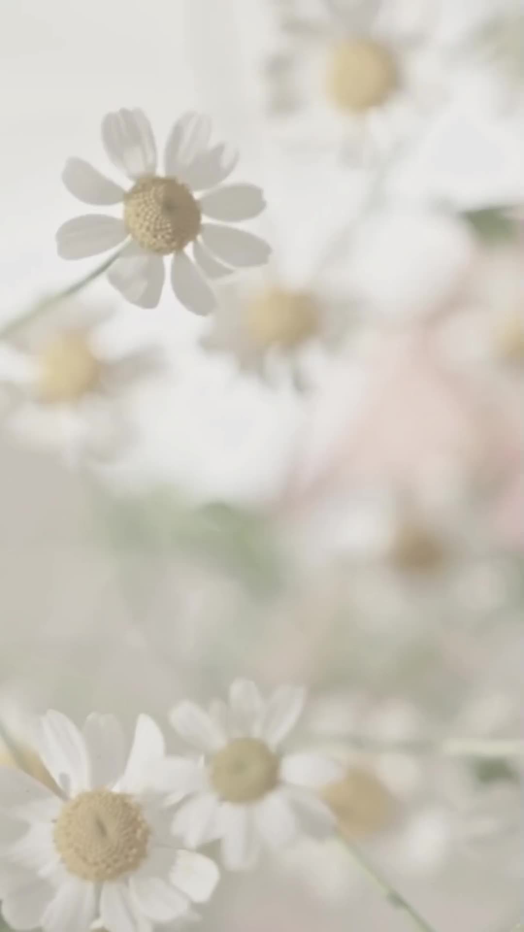 @life-is-love