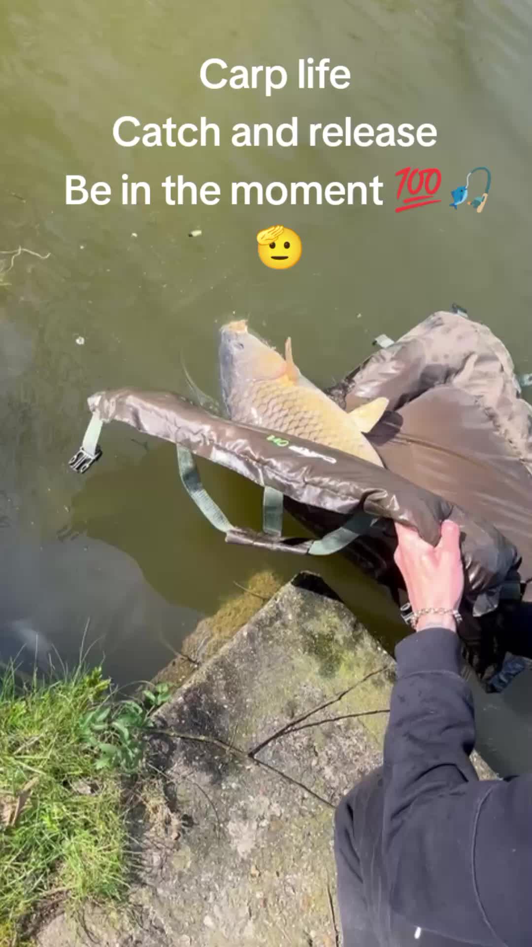 @the_carp_bois