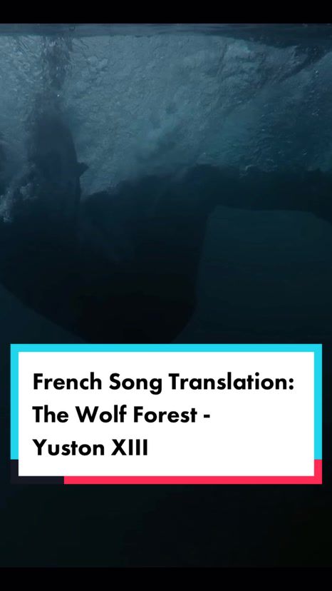 @The French Song