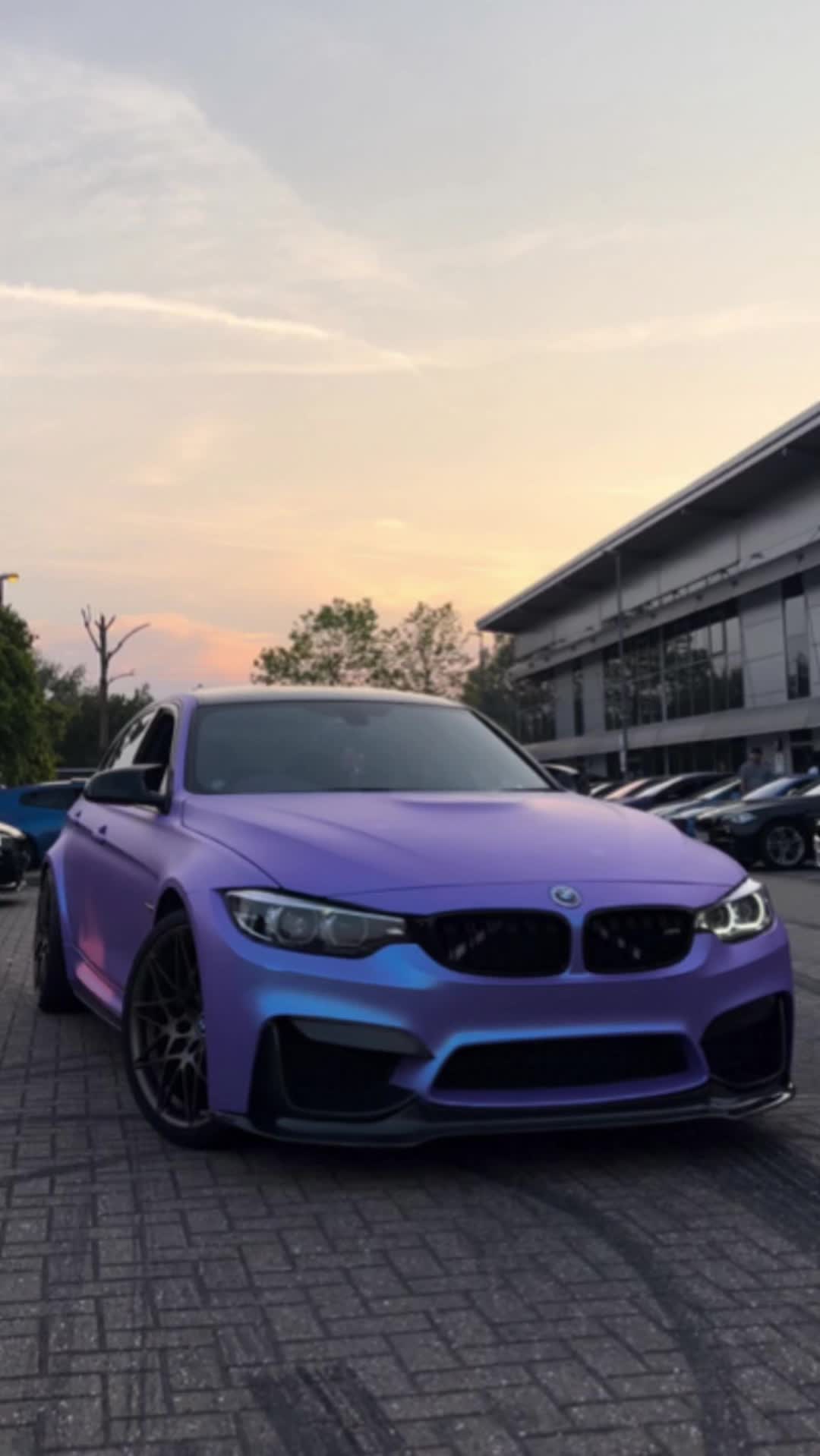 @Cm.Exclusive_