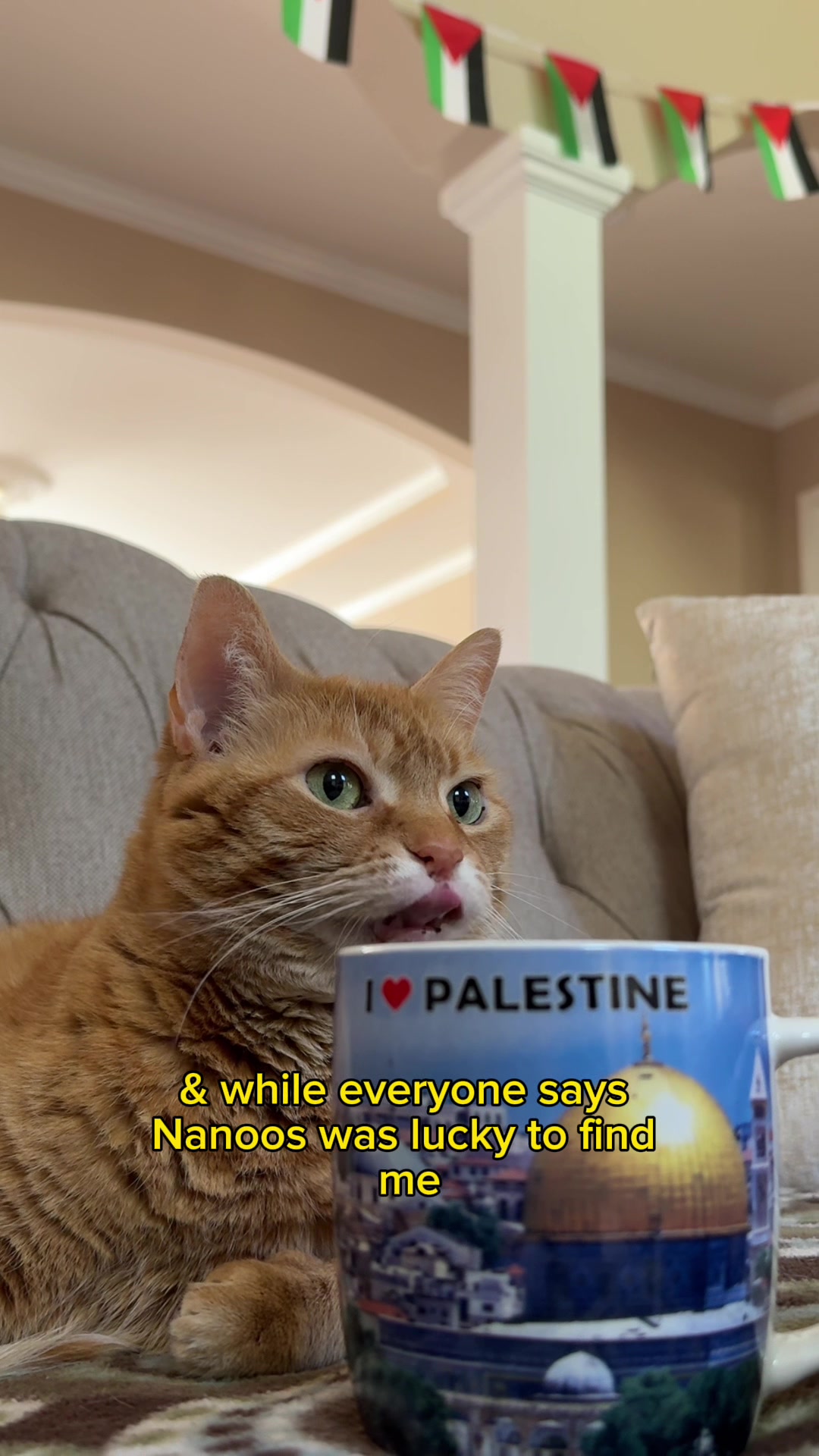@Nanoos & Reem