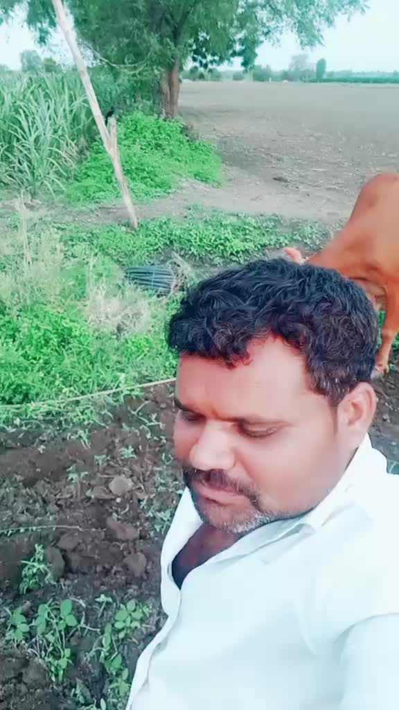 @user887058