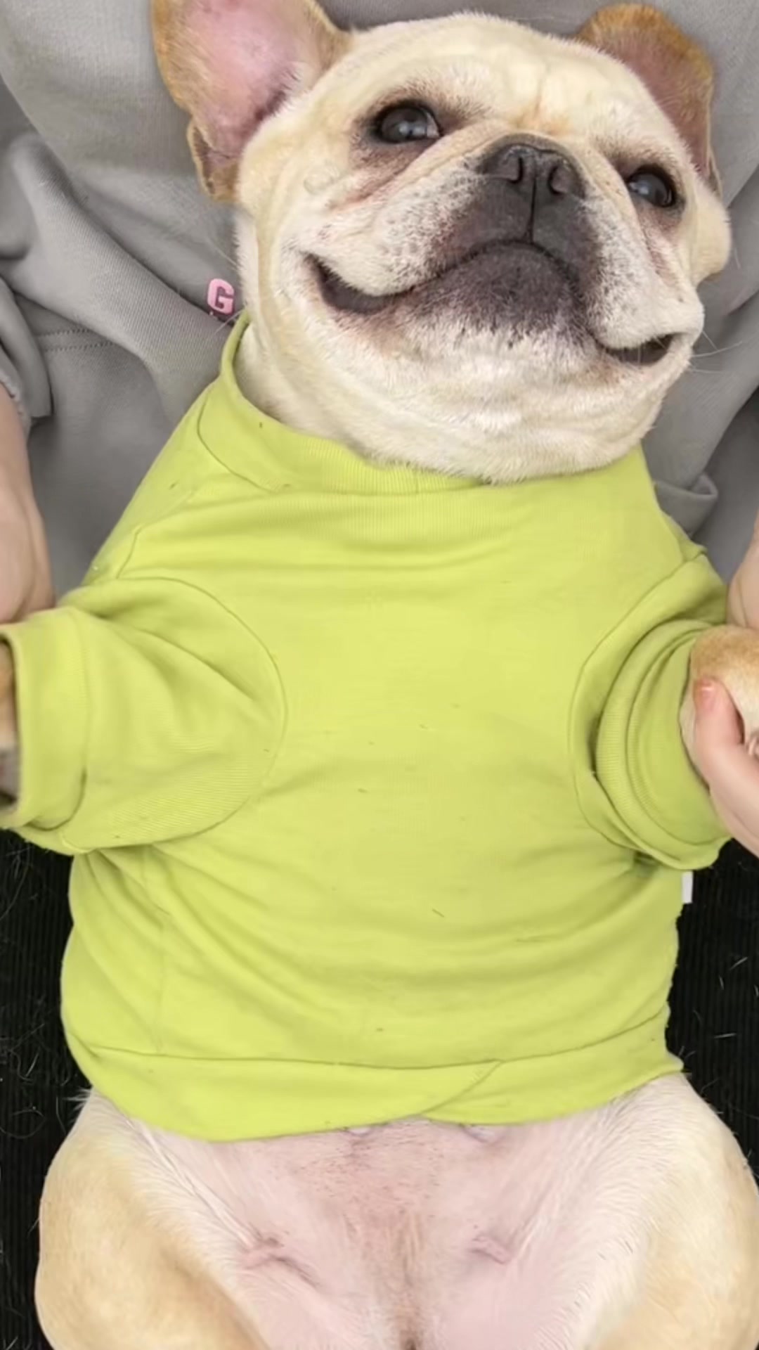 @Furbulous