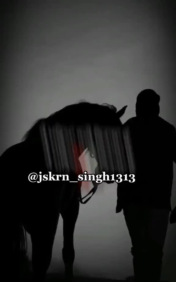 @Jskrn_singh1313