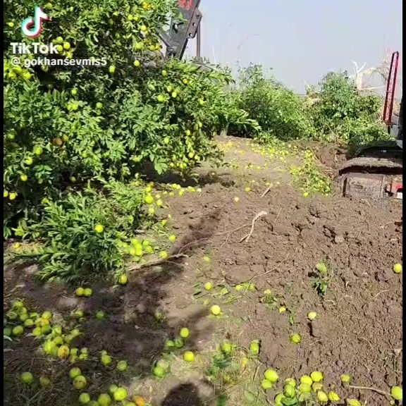 @Ferhat Kök