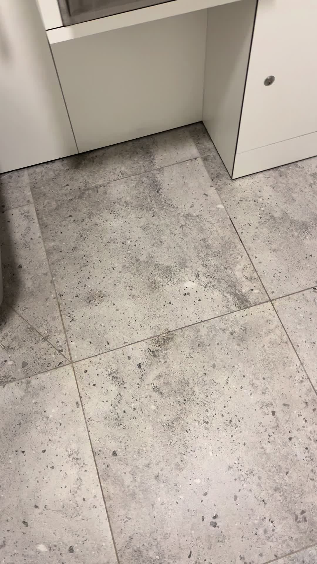 @WWsAvH