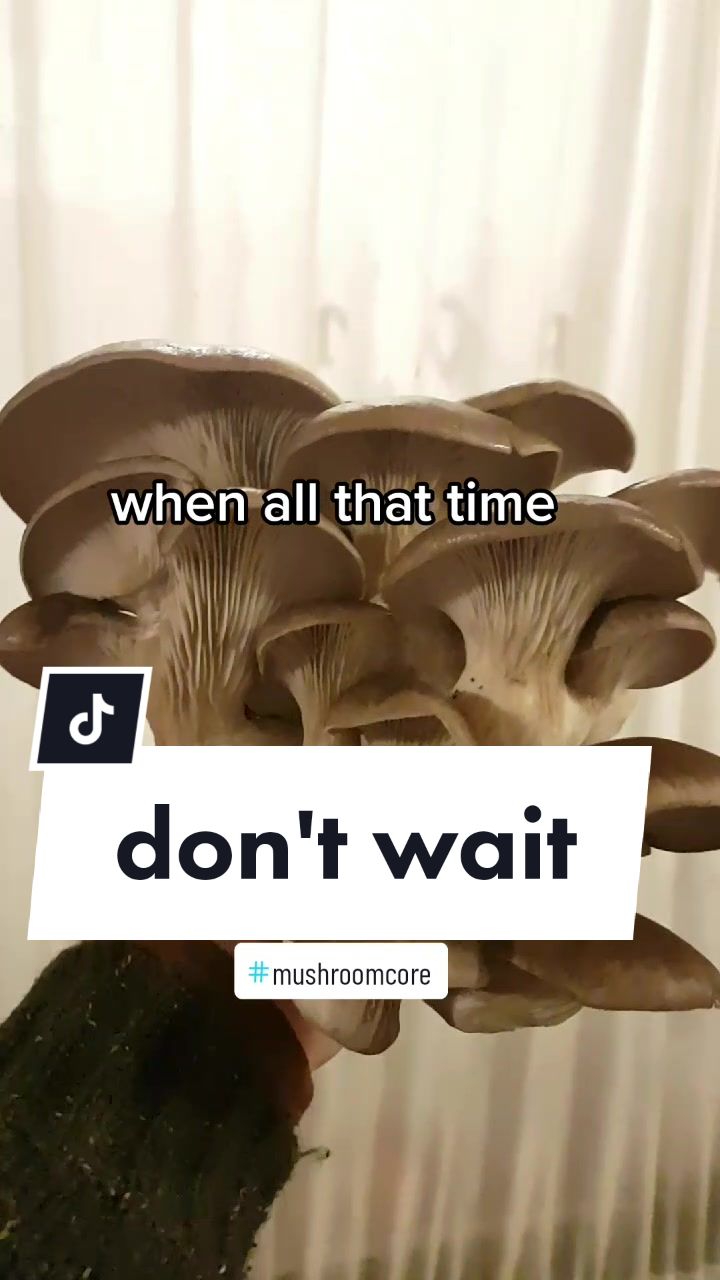 @Stacey | Slow Folk