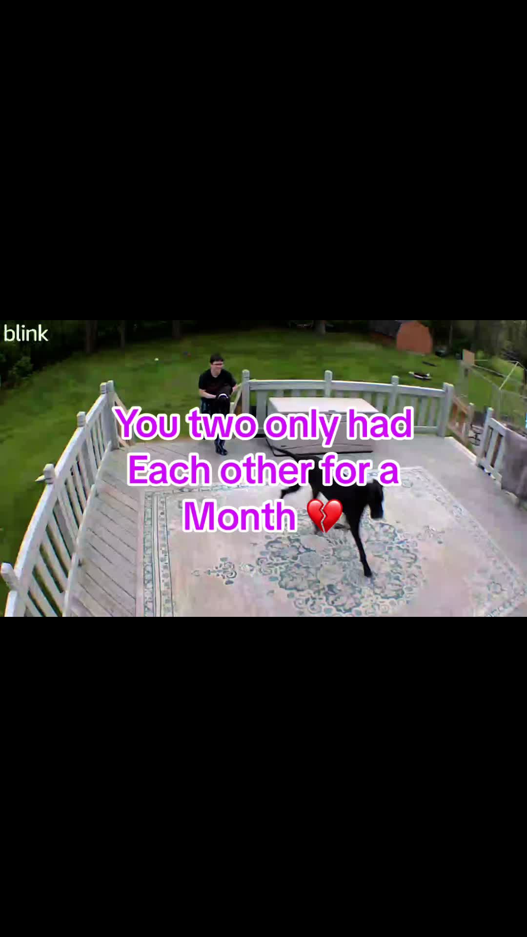 @Moo, Cow & Arni