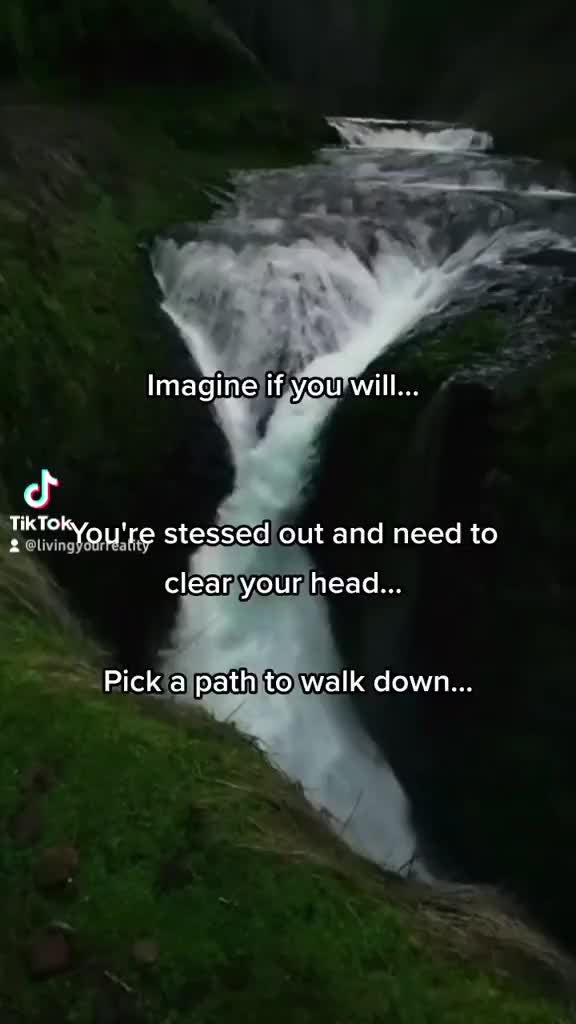 @livingyourreality