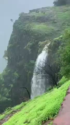 @Biswajit