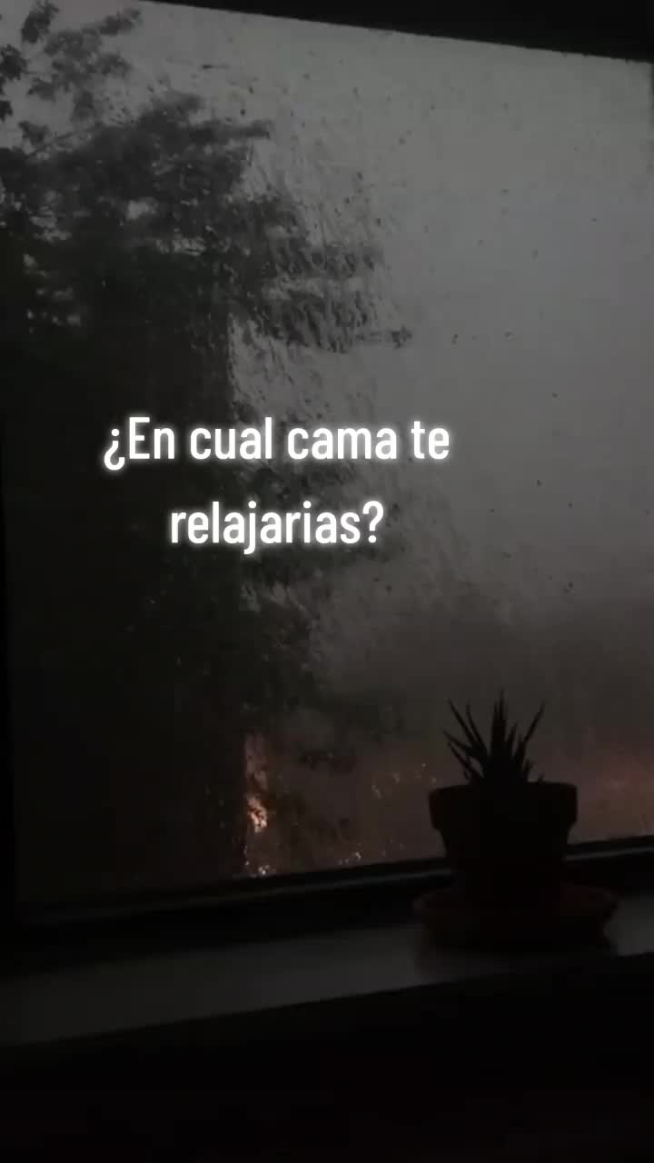 @Dark~Moon🌫️