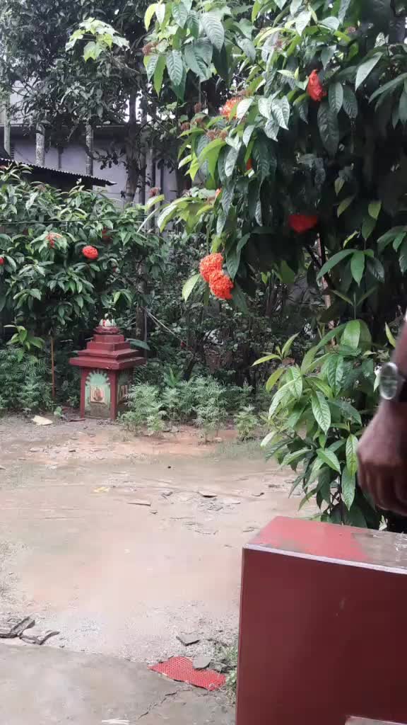 @Mintu Kar