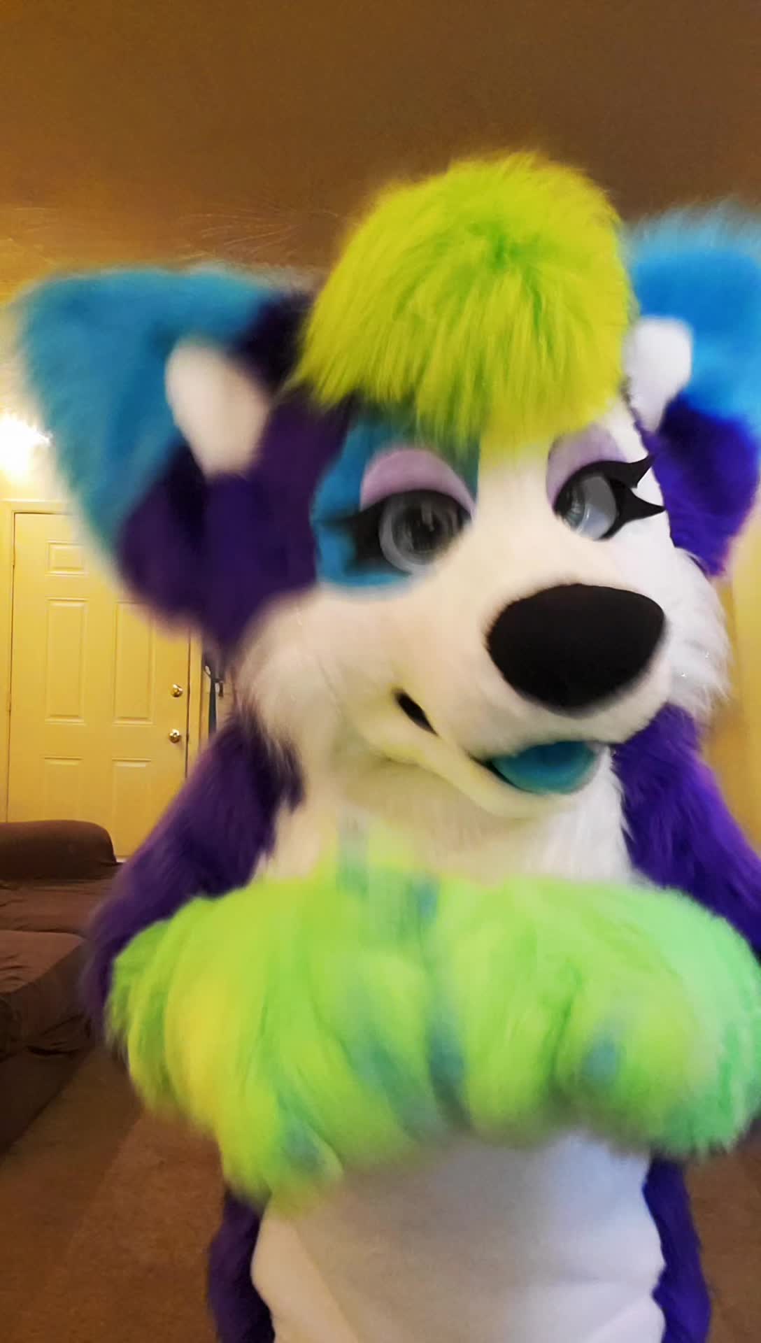 @Luna Husky