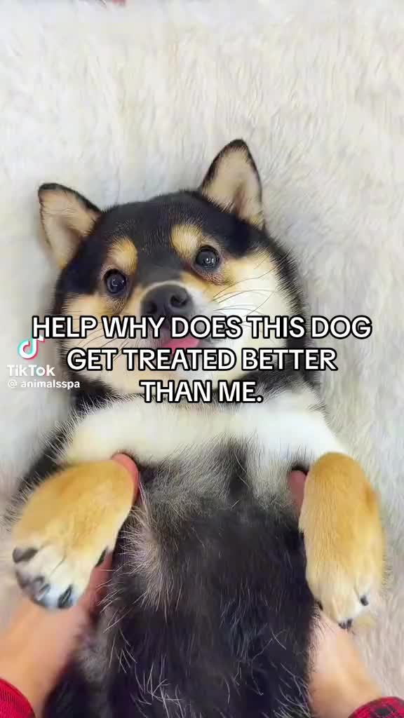 @steven