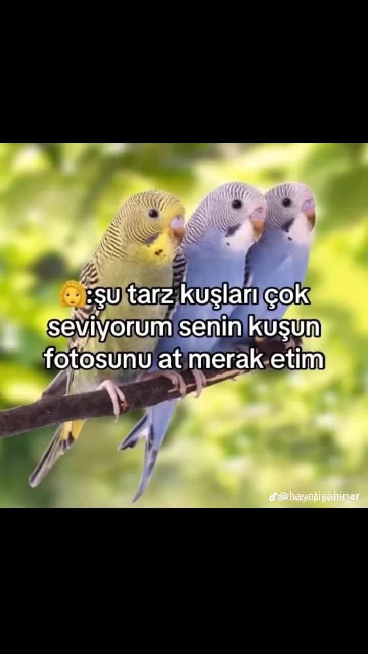 @Ultra_İlyas19_05