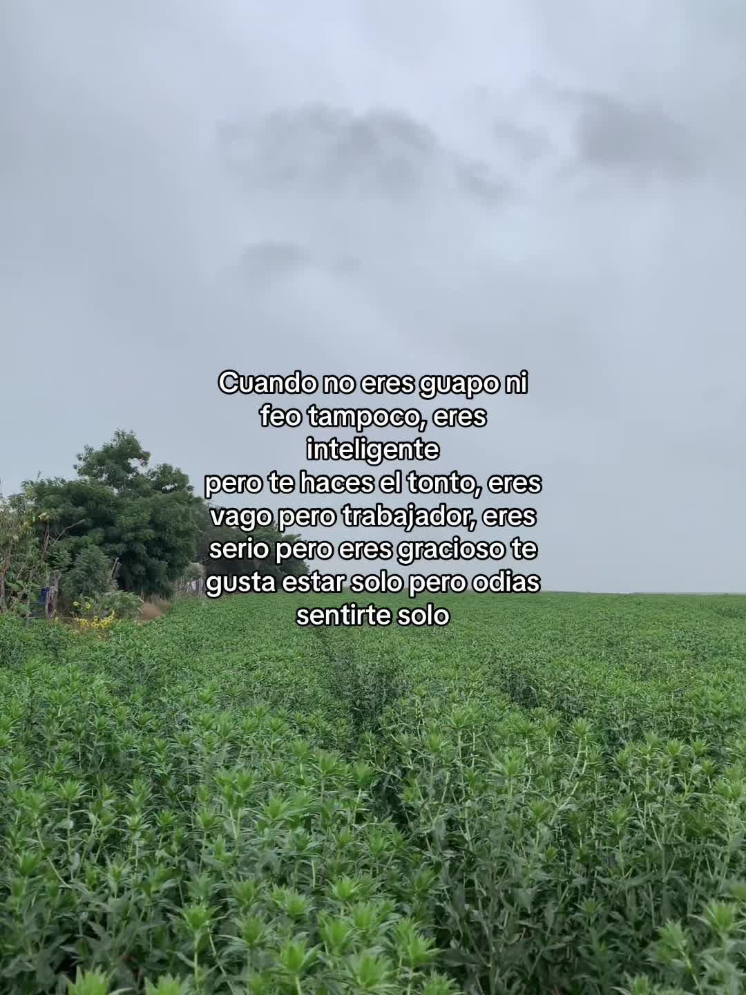 @El lópez🧿