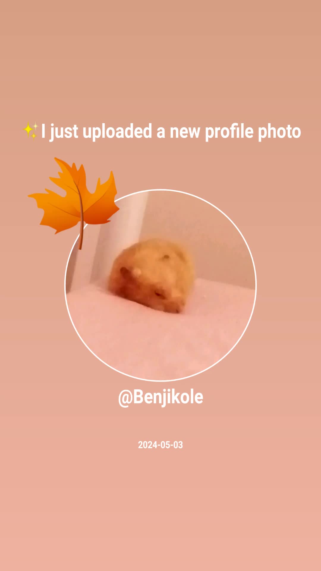 @Benjikole