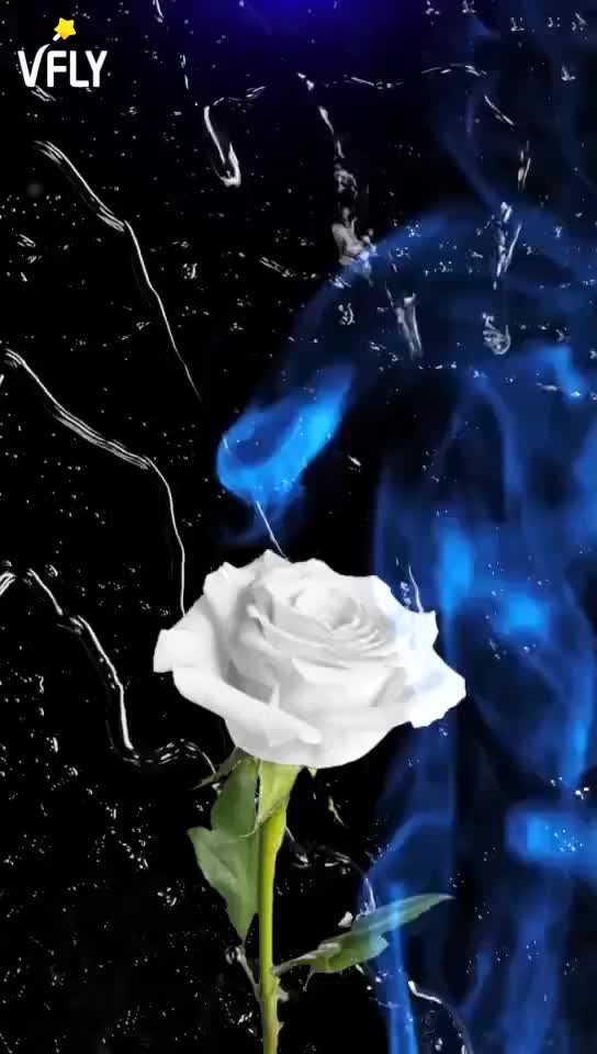 @user58353141477