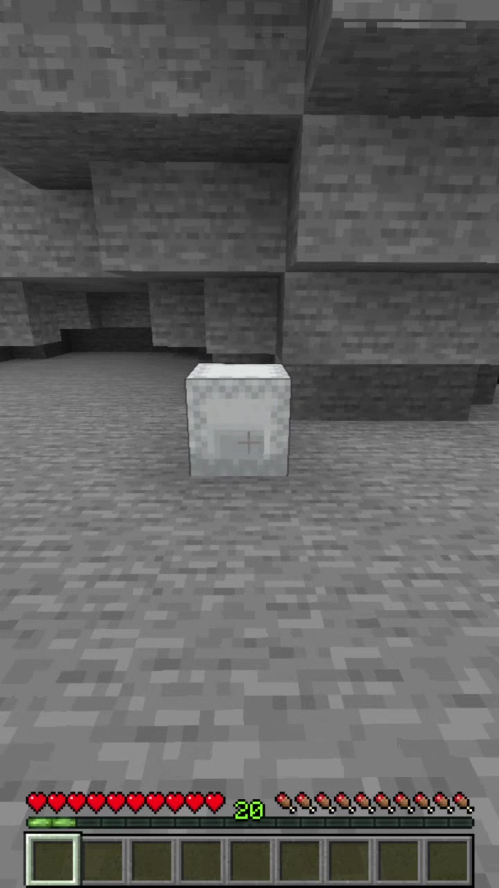 @Minecraft Memes