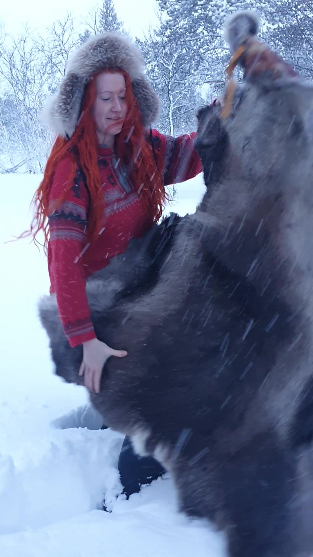 @karvalakkinainen