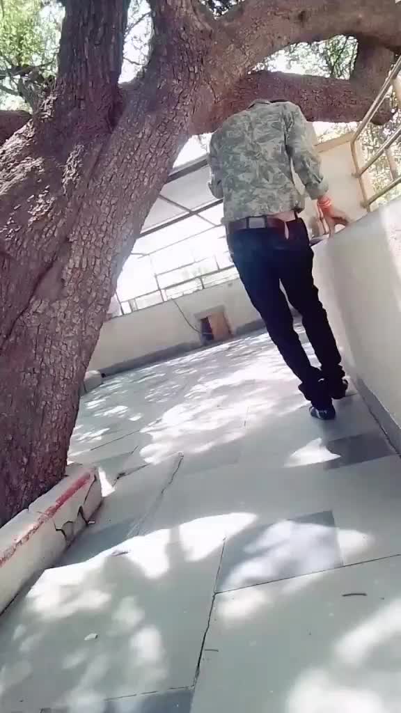 @Rekha Salvi