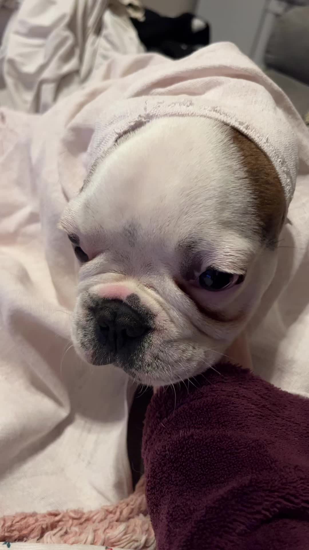 @lu.dunas