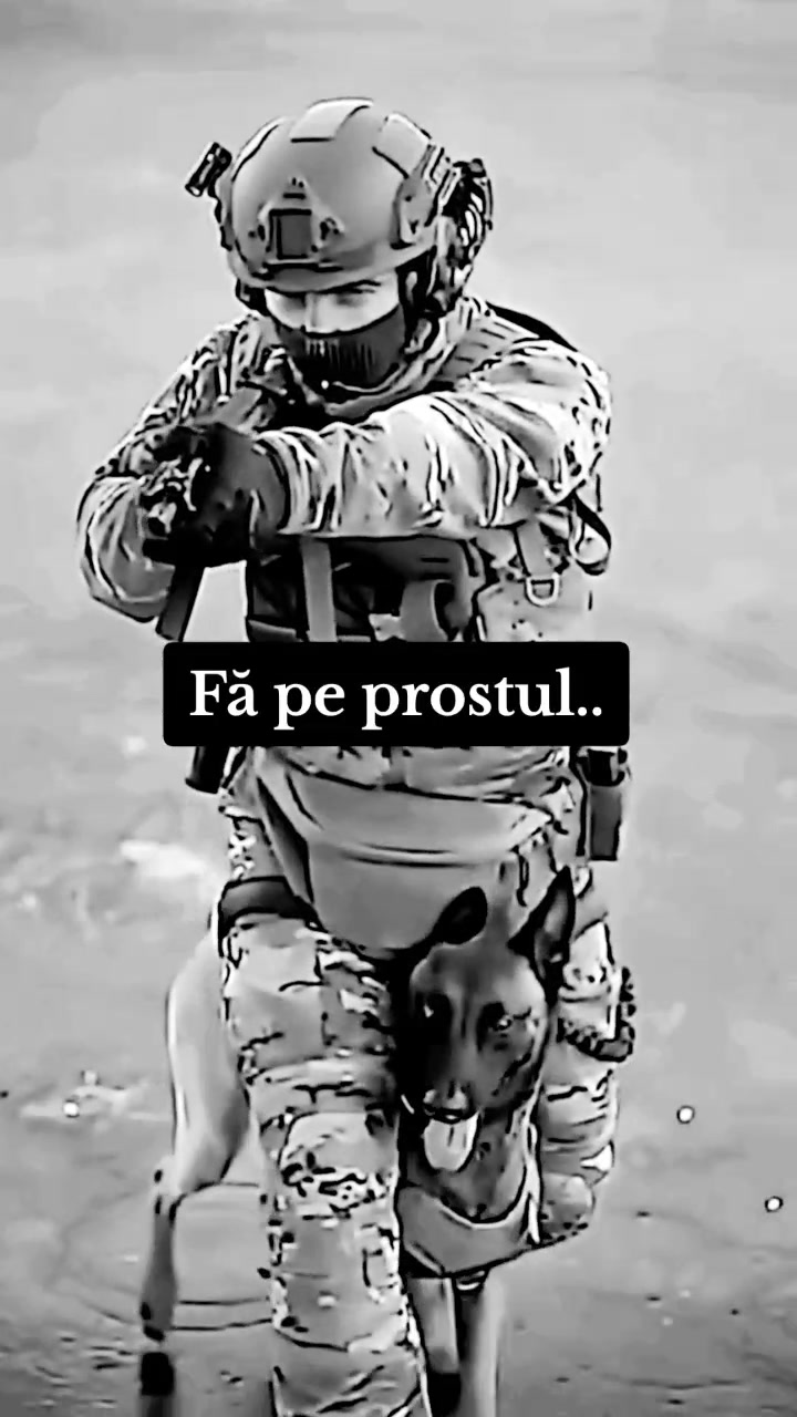 @Dani Mifto