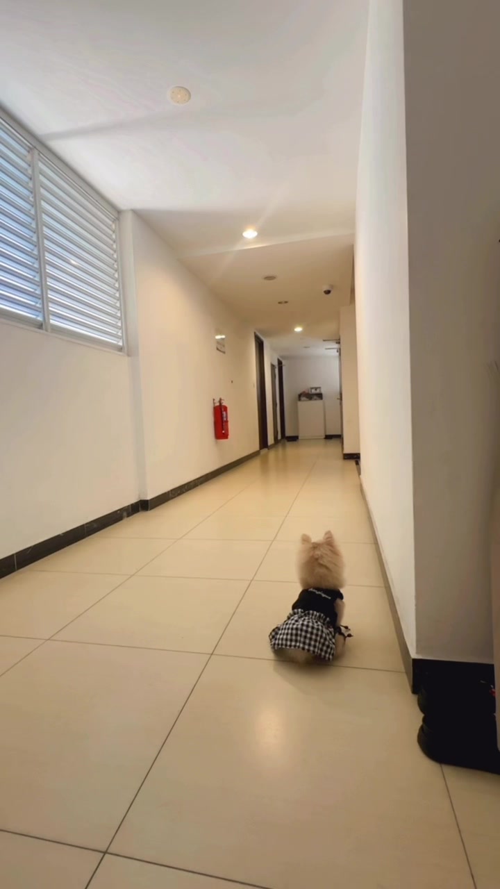 @DORA BUJI